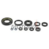 Kompletní sada gufer motoru -ATHENA- Fantic XX 250 2022-2023, Yamaha YZ 250 1992/2001-2022