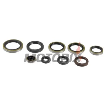 Sada gufer motoru -ATHENA- Husaberg TE 250/300 2011-2012, Husqvarna TC 250 2017, TE 250/300 2014-2016, KTM EXC 250/300 2004-2016, Freeride 250 2014-2017, MXC 300 2004-2007, SX 250 2003-2016, XC 250 2006-2018