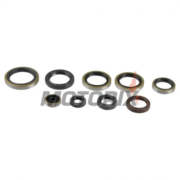 Sada gufer motoru -ATHENA- Husaberg TE 250/300 2011-2012, Husqvarna TC 250 2017, TE 250/300 2014-2016, KTM EXC 250/300 2004-2016, Freeride 250 2014-2017, MXC 300 2004-2007, SX 250 2003-2016, XC 250 2006-2018