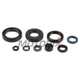 Kompletní sada gufer motoru -ATHENA- Kawasaki KX 125 1994-2008