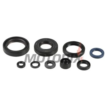 Kompletní sada gufer motoru -ATHENA- Kawasaki KX 125 1994-2008