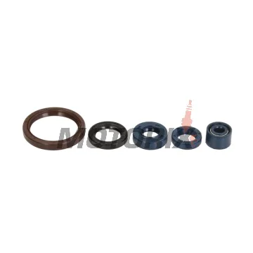 Sada gufer motoru -ATHENA- Husqvarna SMR 250 2003-2006, SMR 450 2003-2009, SMR 510 2004-2010, SMR 310 2009-2010, TC 250 2003-2009, TC 450 2003-2010, TC 510 2004-2010, TC 310 2009-2010, TE 250/450 2003-2009