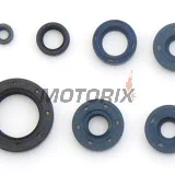 Sada gufer motoru -ATHENA- BMW F 650 1993-2008, G 650 2006-2008, Bombardier DS 650 2000