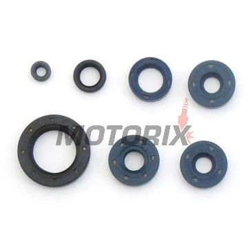 Sada gufer motoru -ATHENA- BMW F 650 1993-2008, G 650 2006-2008, Bombardier DS 650 2000