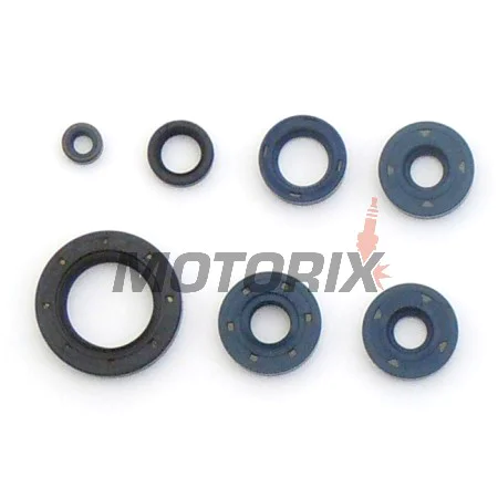 Sada gufer motoru -ATHENA- BMW F 650 1993-2008, G 650 2006-2008, Bombardier DS 650 2000