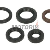 Sada gufer motoru -WINDEROSA- Polaris Phoenix 200 2005-2024, Polaris RZR 170 2009-2020, Polaris Sawtooth 200 2006-2007