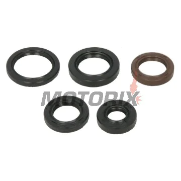 Sada gufer motoru -WINDEROSA- Polaris Phoenix 200 2005-2024, Polaris RZR 170 2009-2020, Polaris Sawtooth 200 2006-2007