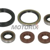 Kompletní sada gufer motoru -ATHENA- Sherco SE 450 2015-2022