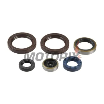 Kompletní sada gufer motoru -ATHENA- Husaberg TE 125 2012-2014, Husqvarna TC 125 2014-2015, TE 125 2014-2016, KTM EGS 125 1984/1998-2000, EGS 200 1998-2005, EXC 125/200 1998-2016, MXC 125/200 2002-2005