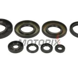 Sada gufer motoru -WINDEROSA- Yamaha YFM 550 2009-2014