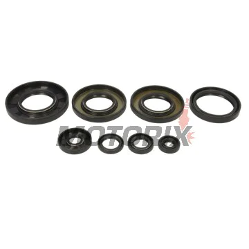 Sada gufer motoru -WINDEROSA- Yamaha YFM 550 2009-2014