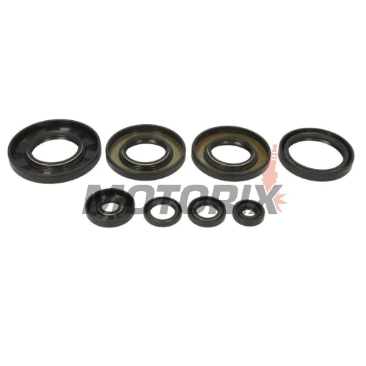 Sada gufer motoru -WINDEROSA- Yamaha YFM 550 2009-2014