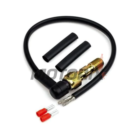 Spínač brzdového světla banjo šroub/senzor -TRW- dvojitý, M10x1.00 (Brembo)