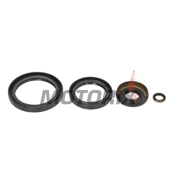 Opravná sada diferenciálu -ALL BALLS- Kawasaki KVF 360 2003-2013, KVF 650 2002-2003, 2005-2013, KVF 700 2004-2006, KVF 750 2005-2014, Suzuki LT-V 700 2004-2006