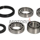 Opravná sada diferenciálu -ALL BALLS- Arctic Cat 300 2004, 366 2008-2011, 400 2004-2008, 2010-2014, 450 2010-2012, 500 2004-2009, 2013-2014, 550 2009-2014, 650 2004-2012, 686 2010, 700 2006-2015, Prowler 700 2008-2014