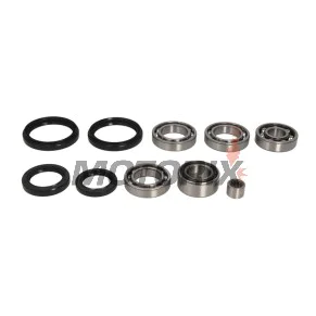 Opravná sada diferenciálu -ALL BALLS- Arctic Cat 300 2004, 366 2008-2011, 400 2004-2008, 2010-2014, 450 2010-2012, 500 2004-2009, 2013-2014, 550 2009-2014, 650 2004-2012, 686 2010, 700 2006-2015, Prowler 700 2008-2014