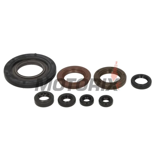 Sada gufer motoru -ATHENA- Aprilia RS 250 1995-2001, Suzuki RG (RGV) 250 1986, RGV 250 1989-1997