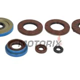Sada gufer motoru -WINDEROSA- Polaris ACE 325 2014-2016, Polaris Hawkeye 325 2015, Polaris Ranger 325 2015-2016, Polaris Sportsman 325 2015