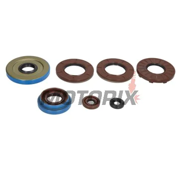 Sada gufer motoru -WINDEROSA- Polaris ACE 325 2014-2016, Polaris Hawkeye 325 2015, Polaris Ranger 325 2015-2016, Polaris Sportsman 325 2015
