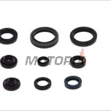Kompletní sada gufer motoru -ATHENA- Suzuki RM 125 1992-2008