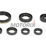 Sada gufer motoru -WINDEROSA- Yamaha WR 250 2001-2013, Yamaha YZ 250 2001-2013