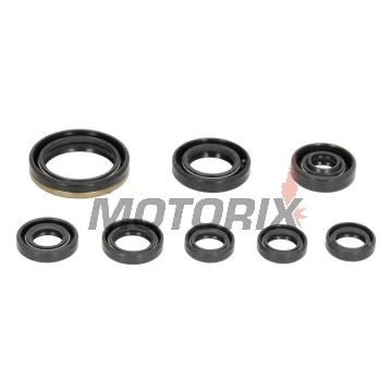 Sada gufer motoru -WINDEROSA- Yamaha WR 250 2001-2013, Yamaha YZ 250 2001-2013