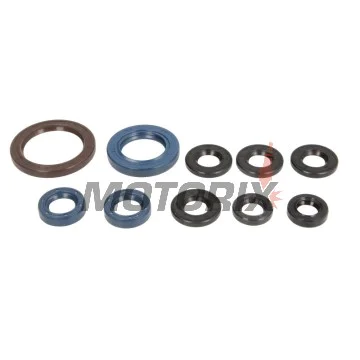 Sada gufer motoru -ATHENA- Husqvarna FE 250 2014-2016, KTM EXC-F 250 2014-2016, XCF-W 250 2014-2016