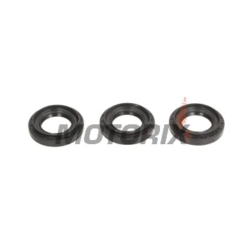 Opravná sada diferenciálu -ALL BALLS- Yamaha YFM 550 2009-2014, YFM 700 2007-2017