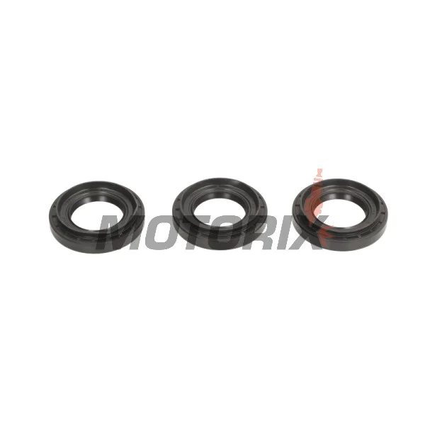 Opravná sada diferenciálu -ALL BALLS- Yamaha YFM 550 2009-2014, YFM 700 2007-2017