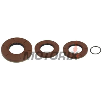 Opravná sada diferenciálu -ALL BALLS- Polaris Scrambler 1000 2014-2017, Scrambler 850 2013-2017, Sportsman 1000 2015-2017, Sportsman 550 2010-2014, Sportsman 850 2010-2017
