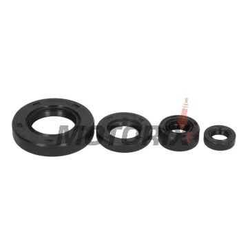 Sada gufer motoru -WINDEROSA- Suzuki DR 650 1996-2024