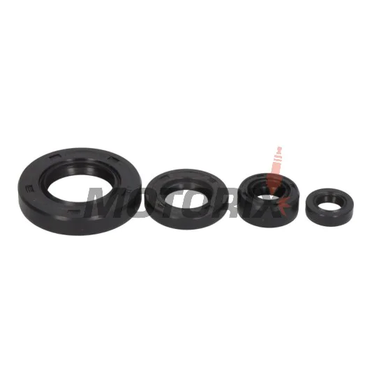 Sada gufer motoru -WINDEROSA- Suzuki DR 650 1996-2024