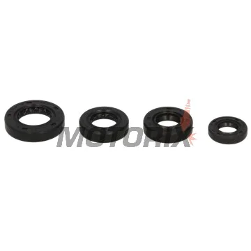 Sada gufer motoru -WINDEROSA- Honda CRF 150 2003-2005, Honda CTX 200 2003-2011