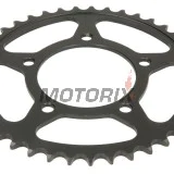 Zadní rozeta -JT- JTR823,41, 41 zubů, ocelový, Suzuki GS 500 1988-2010, GSF 250 1990-2000, GSX 250 1991-1993, GW 250 2012-2017, SFV 650 2009-2015, SV 650 2016-2019