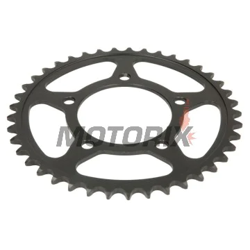 Zadní rozeta -JT- JTR823,41, 41 zubů, ocelový, Suzuki GS 500 1988-2010, GSF 250 1990-2000, GSX 250 1991-1993, GW 250 2012-2017, SFV 650 2009-2015, SV 650 2016-2019
