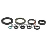 Sada gufer motoru -ATHENA- Honda CRE 450 2009-2013, CRF 450 2009-2016, CRM 450 2009-2010