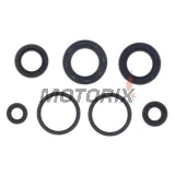 Kompletní sada gufer motoru -ATHENA- Beta Eikon 125/150 1999-2002, Kymco Bet&Win 125/150 2000/2003-2004, Dink 125 1997-2000/2002-2003/2006, Dink 150 1997-2000/2002-2003, Grand Dink 125/150 2001-2004
