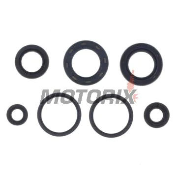 Kompletní sada gufer motoru -ATHENA- Beta Eikon 125/150 1999-2002, Kymco Bet&Win 125/150 2000/2003-2004, Dink 125 1997-2000/2002-2003/2006, Dink 150 1997-2000/2002-2003, Grand Dink 125/150 2001-2004