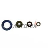 Sada gufer motoru -ATHENA- KTM Adventure 990 2006-2014, LC8 950 2002-2006, LC8 990 2005-2010, Super Duke 990 2007-2013, Super Enduro 950 2006-2011, Supermoto 950 2005-2008, Supermoto 990 2008-2013