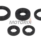 Sada gufer motoru -WINDEROSA- Honda TRX 300 1988-2000