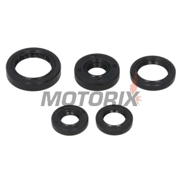 Sada gufer motoru -WINDEROSA- Honda TRX 300 1988-2000