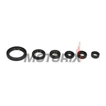 Sada gufer motoru -ATHENA- Suzuki DR-Z 400 2000-2017