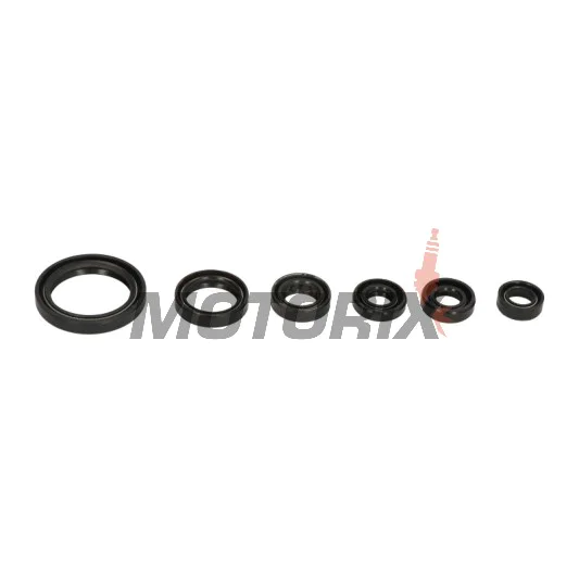 Sada gufer motoru -ATHENA- Suzuki DR-Z 400 2000-2017