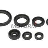 Sada gufer motoru -WINDEROSA- Yamaha WR 450 2016-2023, Yamaha YZ 450 2014-2023