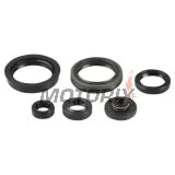 Sada gufer motoru -ATHENA- Suzuki RM-Z 450 2005-2007