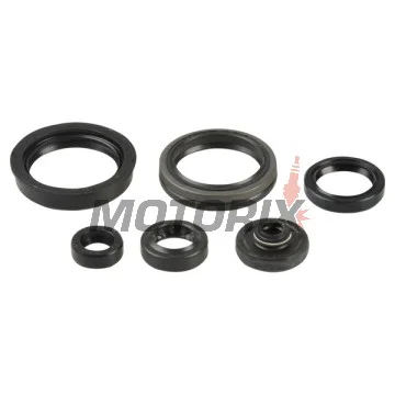Sada gufer motoru -ATHENA- Suzuki RM-Z 450 2005-2007