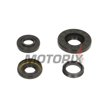 Opravná sada diferenciálu -ALL BALLS- Honda TRX 400 2002-2003, TRX 450 2002-2004, TRX 500 2000-2004