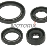 Sada gufer motoru -WINDEROSA- Honda TRX 90 2006-2023