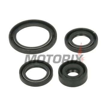 Sada gufer motoru -WINDEROSA- Honda TRX 90 2006-2023