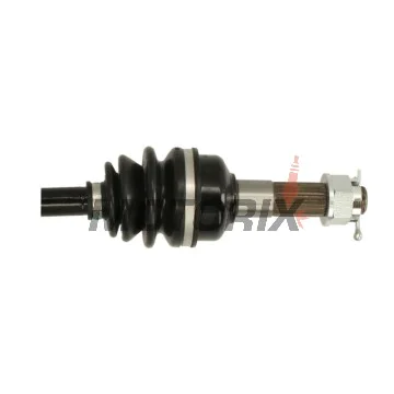 Poloosa -ALL BALLS- CF Moto CF 500/600 2013-2014, CF 800 2013-2016,x500 2011-2013,x600/800 2012-2013